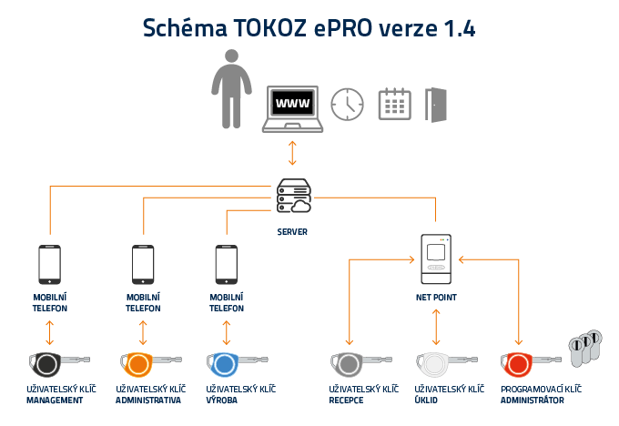 tokoz_export_pro_web_schema_1_4